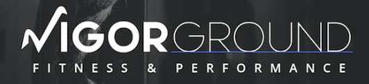 VIGOR SUMMIT LOGO